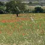 Vakantiehuis Chaleureux Entre Terre Et A Avec Wifi Et Animaux Admis - Fr-1-306-1080 *